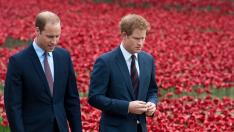 Принц Уилям е загрижен за брат си, с Хари са в чудесни отношения