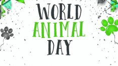 Кои животни скоро няма да обитават Земята?