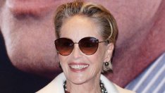 Шарън Стоун и Кевин Костнър се отдадоха на горещ флирт