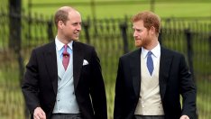 Принц Хари и принц Уилям имат „таен“ код, който да използват само при криза
