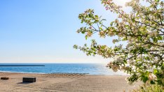 Месечен хороскоп за август