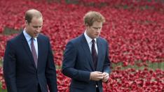 Принц Уилям и принц Хари ще произнасят речи отделно при откриването на статуята на принцеса Даяна