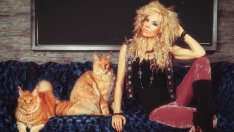 Прически 2022 – къдрава вълча подстрижка 