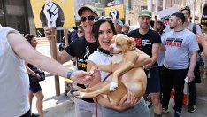 След повече от 140 дни – стачката на сценаристите в Холивуд спира