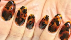 Корубата на костенурка като вдъхновение за маникюриста