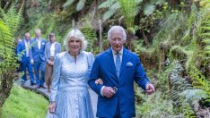 Кралица Камила и крал Чарлз спят в отделни стаи – това ли е тайната на щастливия брак