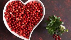 6 ползи от консумацията на червени боровинки