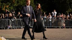 Меган Маркъл ще разкрие недостатъците на Хари в нова книга