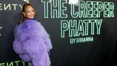 Риана взе 6,3 млн. долара, за да пее на индийски милиардер