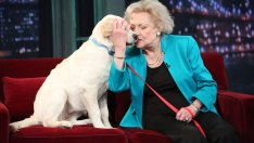 Как Бети Уайт помогнала за спасяването на животни след урагана Катрина?