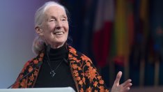 Вдъхновяващо: Кукла Барби от рециклирана пластмаса в чест на д-р Джейн Гудол