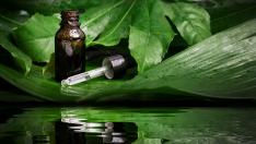 Масло от чаено дърво – ключът в борбата срещу акне