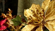 Пуканки и шишарки в коледната украса