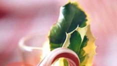 Коледна украса - собственоръчно