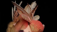 Красиви?! Най-странните лица в модата