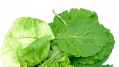 Спанак, зеле и маруля – зелената армия