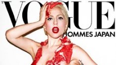 Лейди Гага. Тери Ричардсън. Провокацията. Месото.