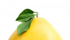 Помело – меденият грейпфрут