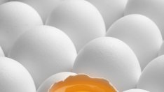 Съхраняването на яйца на стайна температура е безопасно