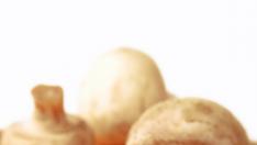 Гъбите са добър източник на витамин D