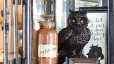 Хелоуински фантазии