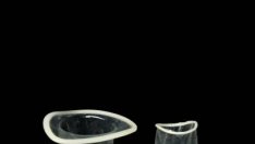 Женският срещу мъжкия презерватив