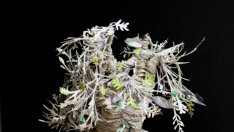 Мистериозни скулптури от книги от неизвестен автор