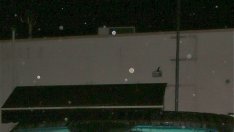 Хари Стайлс празнува рождения си ден с гаджето си Кендъл Дженър