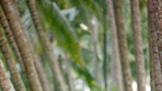 Защо изборът на работа вместо пътуване е загуба на време