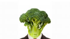 Различните видове вегетарианци