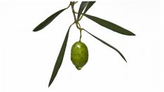 Кога „добрият“ холестерол се превръща в лош