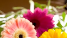 Искате да отслабвате с по ½ кг на месец, без никакви усилия?