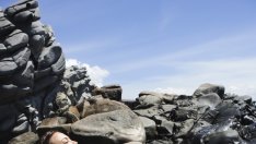 Забравете за „ездачката“, може да ви счупи пениса!