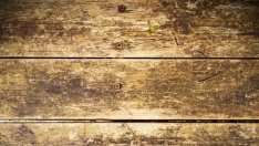 Най-необходимите обувки