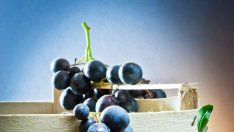 Диета на суровоядците