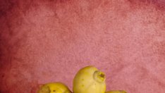 Дюлята – плодът на любовта, брака и плодовитостта