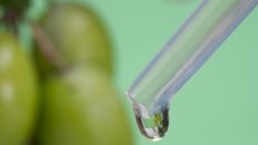 Най-добрите естествени масла за коса и кожа – част 1