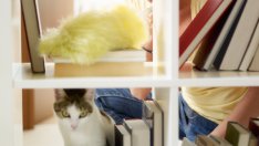 10 места в дома, които често пропускате при чистенето