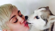 Майли Сайръс е в траур – любимото ѝ куче почина