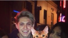 Селена Гомес и Найл Хоран са гаджета?