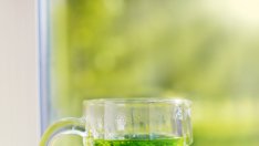 Силата на ментата