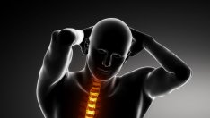 За здрави кости