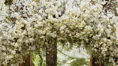 Защо не е разумно да се жените в 20-те си години