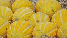 Пъпешът също подпомага здравето – ето как