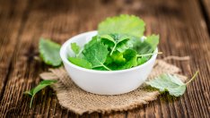 Маточина – билката, която успокоява