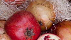 13 причини да обичате нар