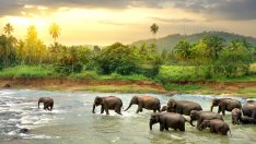 Остров Шри Ланка – новата модерна дестинация