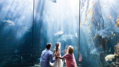 4 урока от детството, които да забравите в зряла възраст