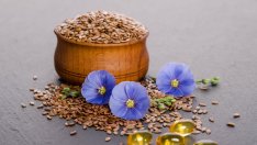 6 ядки и семена, които може да ядете всеки ден