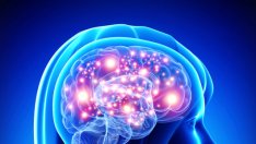 Диета за вашия мозък